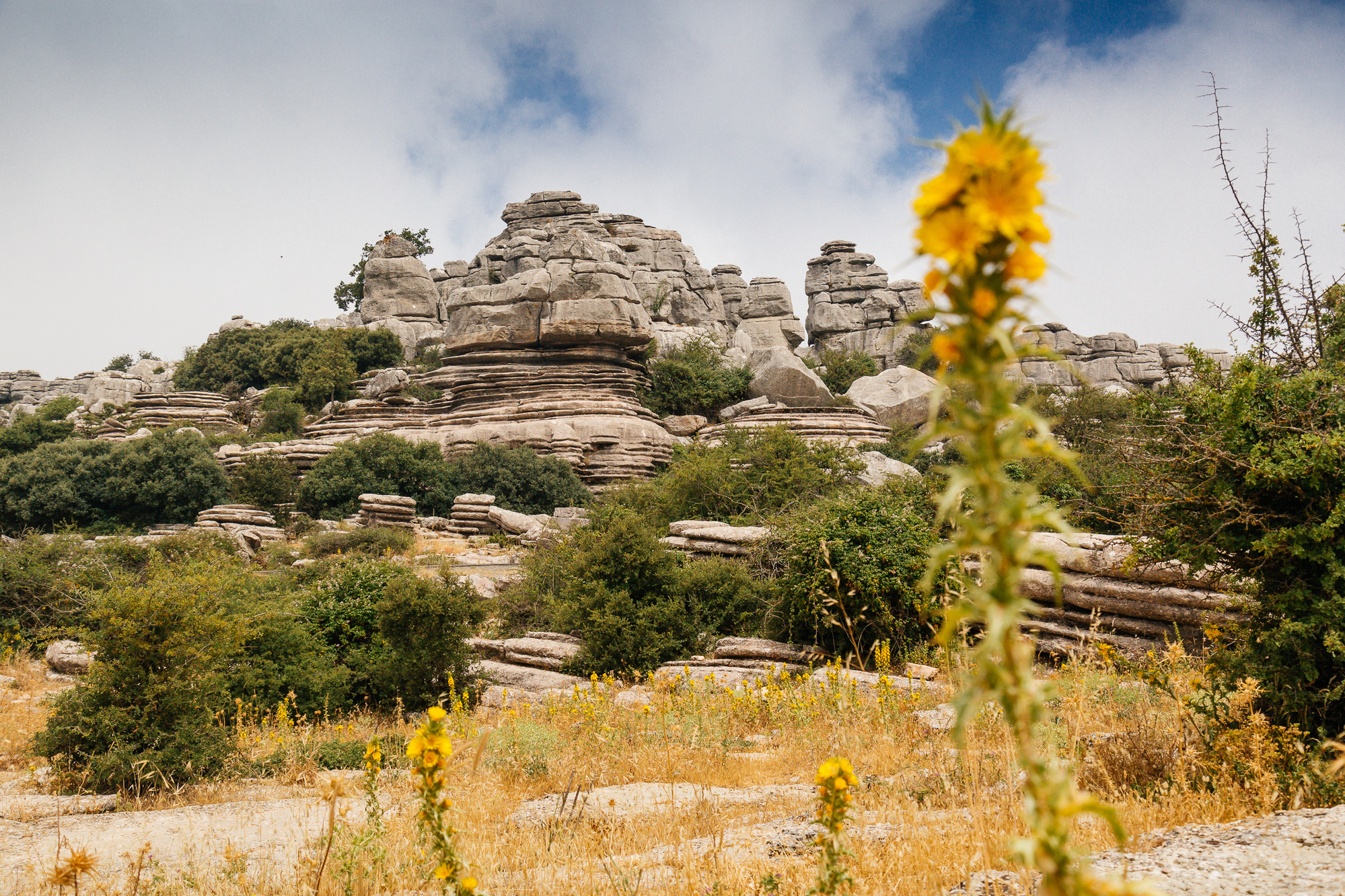 Panoramic view of the whitewashed buildings and green hillside of Setenil de las Bodegas, Spain 