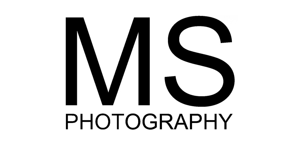 Matteo Sala's Portfolio