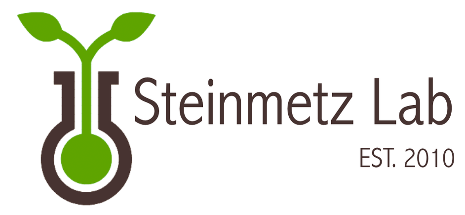 Steinmetz Lab