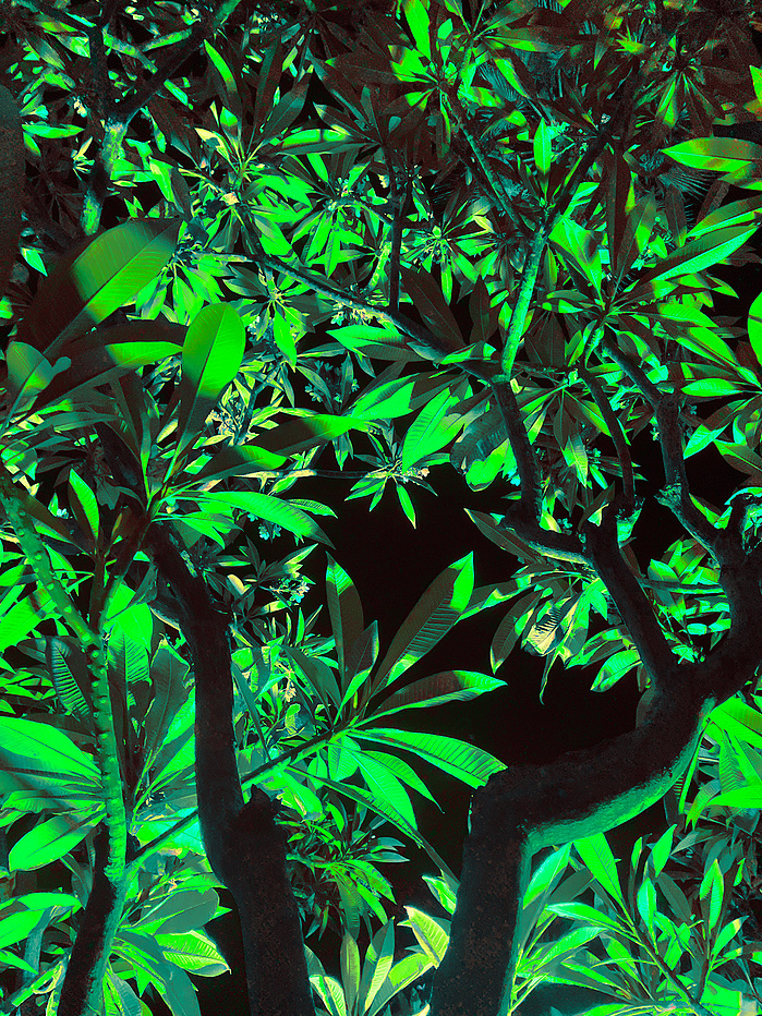 Unexpected. Like a lot of things in Luxor.
Still glowing. Still unidentified. Still green.