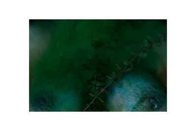 Weiblichkeit, Fotografie, Photography, Carla Pohl, Feminicity, Woman, Fotografin, Photographer, Fine Art Photography, Echorauschen, Berlin, Metoo, Urweiblichkeit