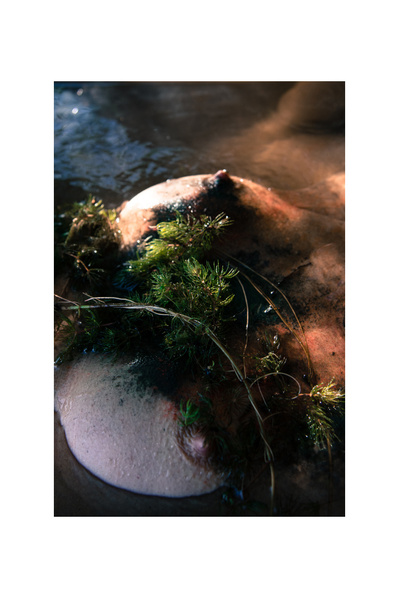 Weiblichkeit, Fotografie, Photography, Carla Pohl, Feminicity, Woman, Fotografin, Photographer, Fine Art Photography, Echorauschen, Berlin, Metoo, Urweiblichkeit