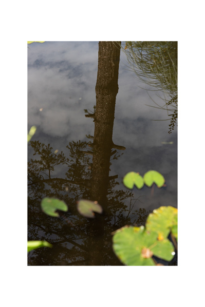 Weiblichkeit, Fotografie, Photography, Carla Pohl, Feminicity, Woman, Fotografin, Photographer, Fine Art Photography, Echorauschen, Berlin, Metoo, Urweiblichkeit
