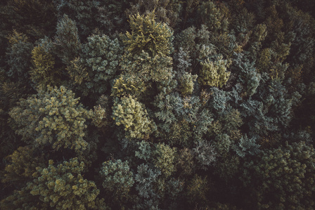 Hochzeitsfotograf NRW mit Drohne