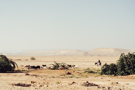 Photography Spots Jordan Florian Finke