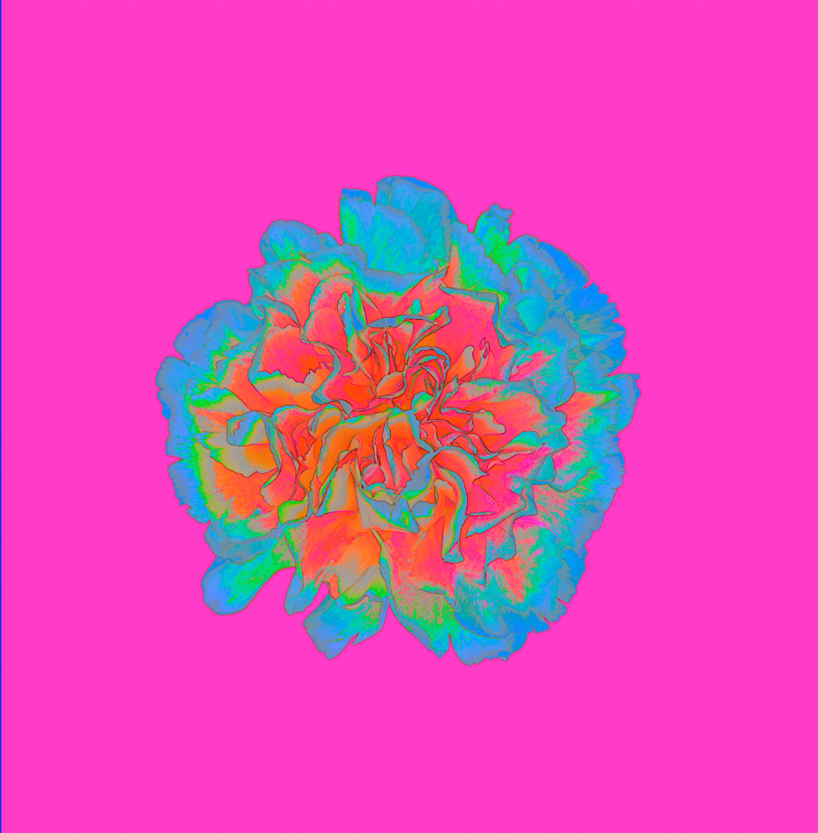 freies Projekt Flowers 01 von Marion Stephan, digitale Kunst, abstraktes farbiges Bild, abstrakte Kunst mit bunten Farben