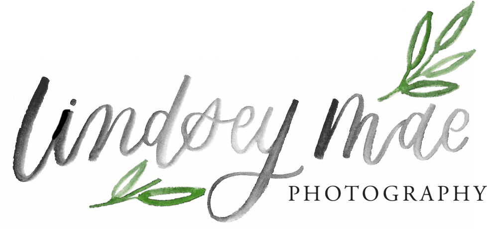 Lindsey Mae Photography