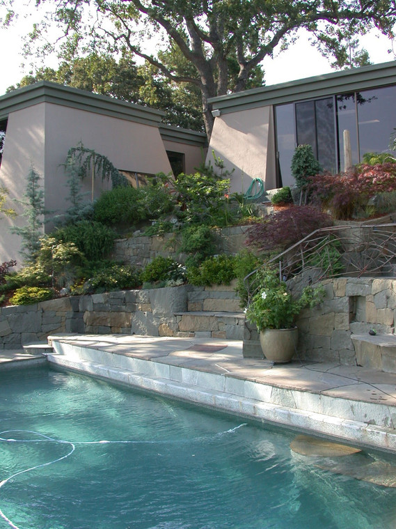 Los Altos Hills Hillside Infinity Pool and Stone Terraces