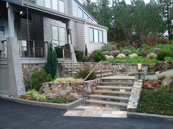 Los Altos Hills Contemporary Entry Garden with stone terracing and path