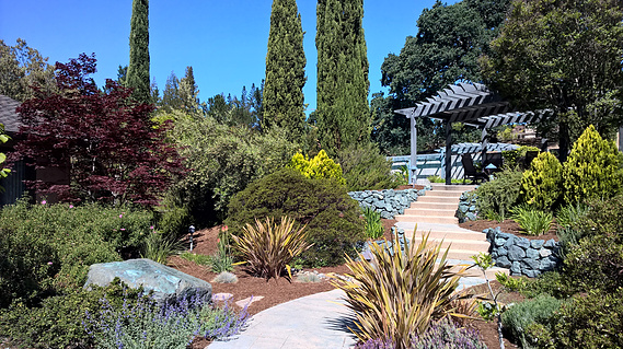 Los Altos Hills drought tolerant hillside garden with dry stacked stone walls and stamped concrete path