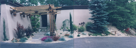 Los Altos Hills Front Entry Garden
