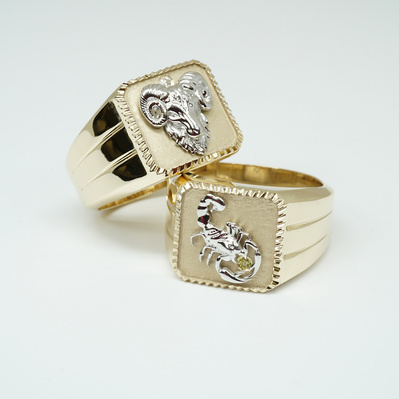 Celebrate your sibling connection with two Yellow Gold Zodiac Signet Rings, featuring White Gold Aries and Scorpio symbols with birthstone accents. A perfect pair of personalized rings that combine astrology and meaningful design.