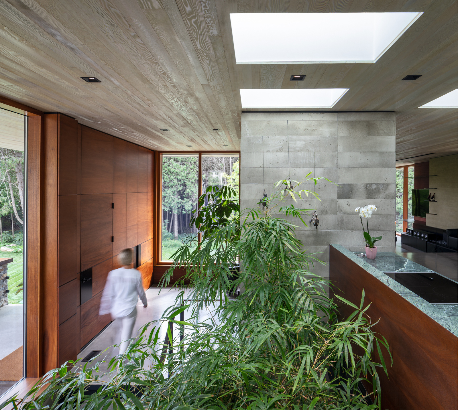 Architect Trevor McIvor says thought and execution went into the recently completed home known as Petaluma House, whose signature feature is an atrium adorned with bamboo trees that draws natural light into the lower levels of the dwelling. 