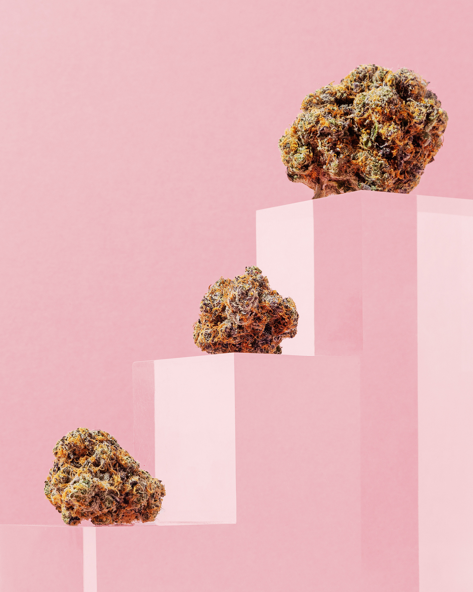 Cannabis product still life product photography close up of three weed flower nugs on an acrylic block staircase on a pink background