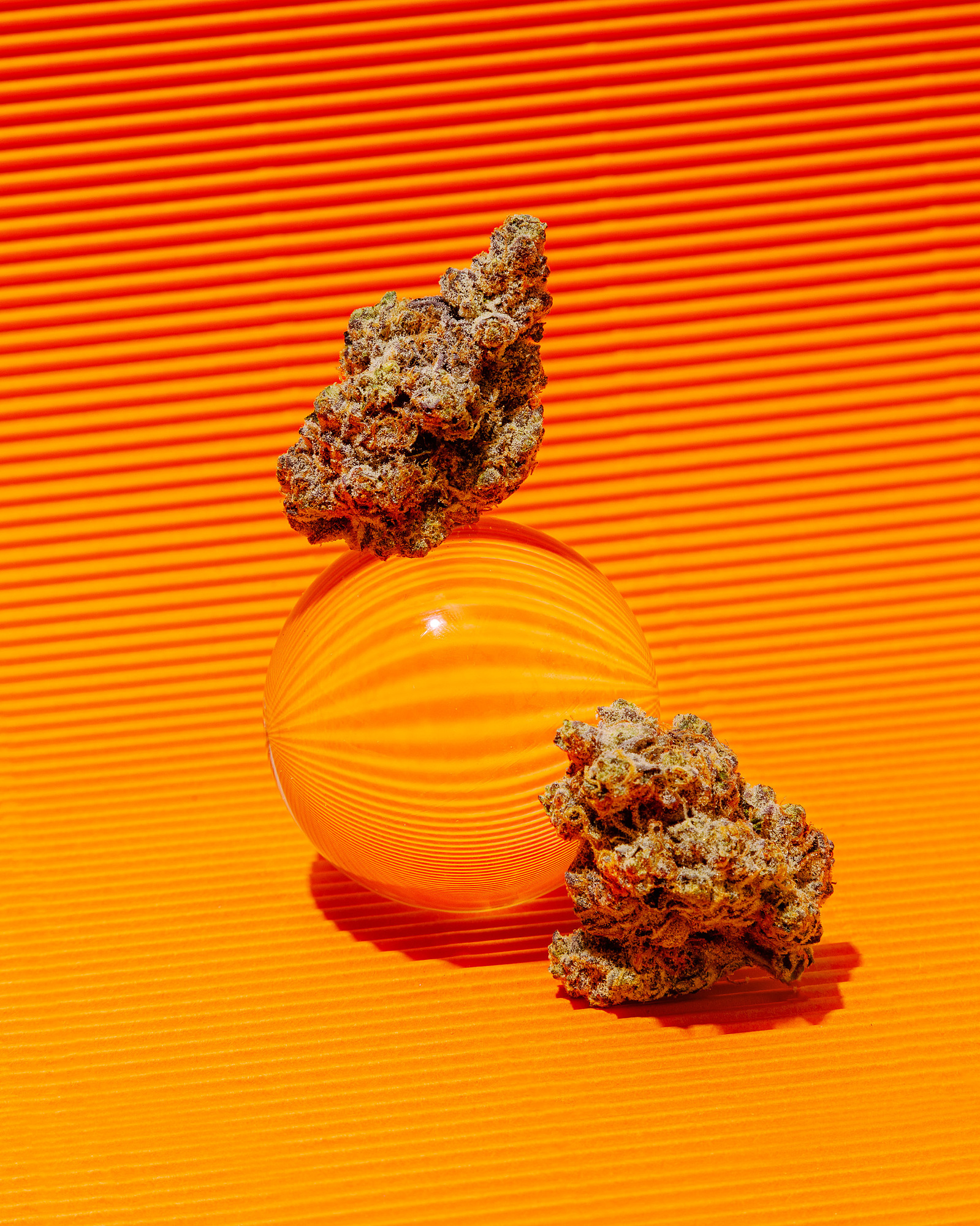 Brand product photography of two cannabis flower nugs, one balanced on an acrylic sphere, on a vivid orange gradient background with textured lines