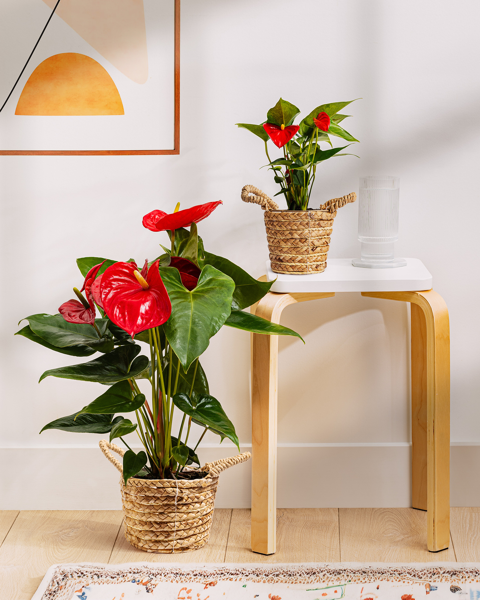 interior decor photography of two plants in baskets in a boho home setting, with geometric modern art, small table stool and a patterned rug with sunlight window shadows. 