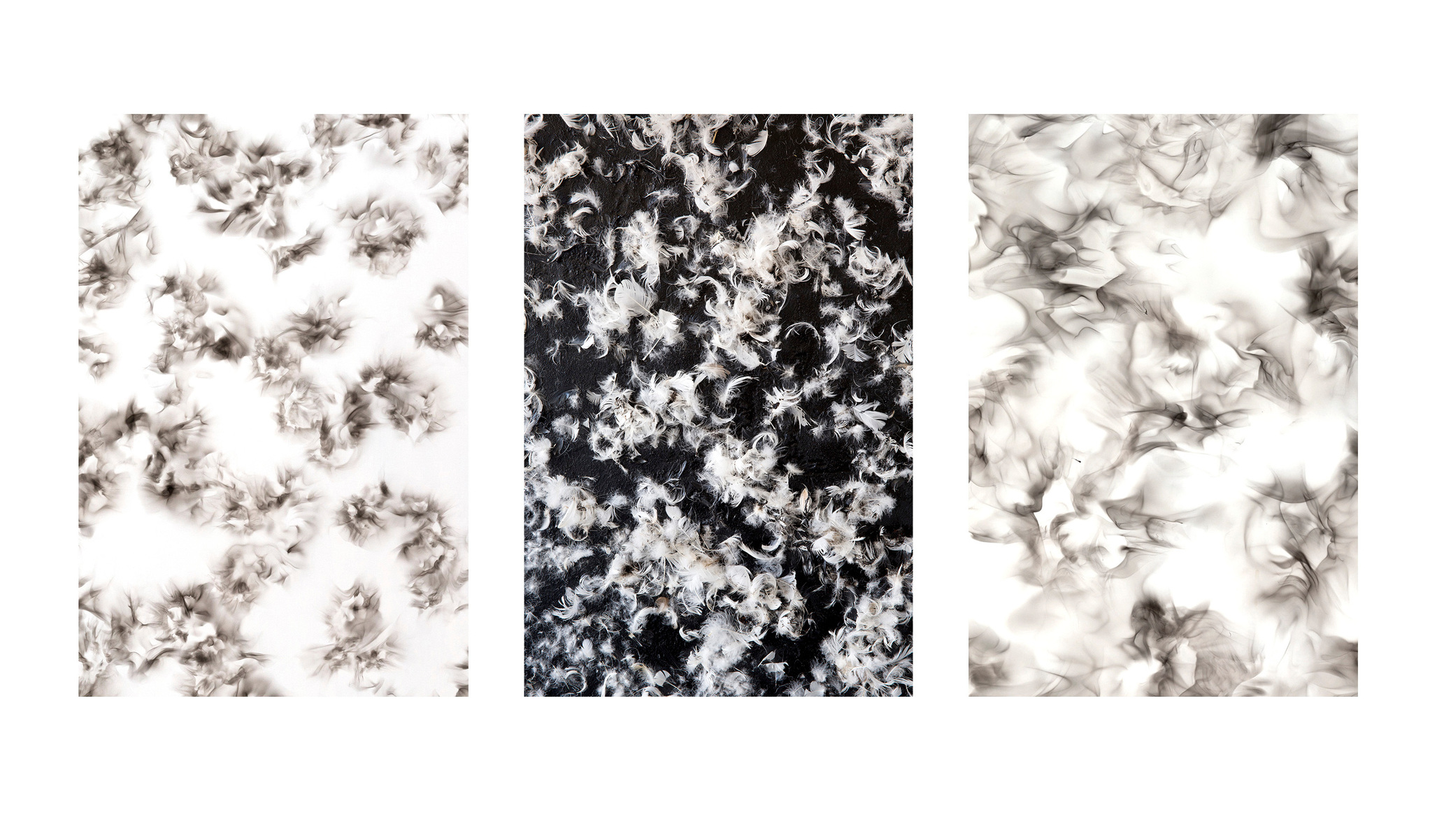 Contemporary Art, Contemporary Painter, Long Island Artist, Hamptons Artist, East Hampton Artist, East Hampton Art Studio, East Hamton Studio, Living Artist, Working Artist, Smoke Painting, East End Artist, South Fork New York Artist, Tar Feather Painting