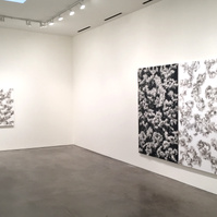 Contemporary Art, Contemporary Painter, Long Island Artist, Hamptons Artist, East Hampton Artist, East Hampton Art Studio, East Hamton Studio, Living Artist, Working Artist, Smoke Painting, East End Artist, South Fork New York Artist, Tar Feather Painting