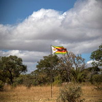 The Zimbabwean Flag