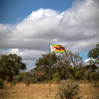 The Zimbabwean Flag