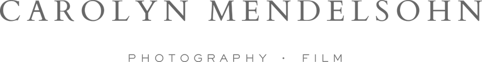Carolyn Mendelsohn's Portfolio