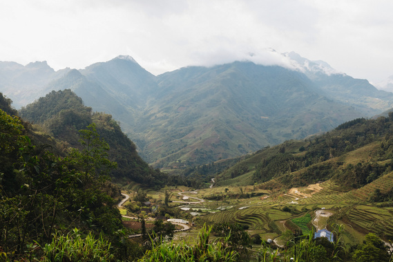 landscape of a rice field in vietnam