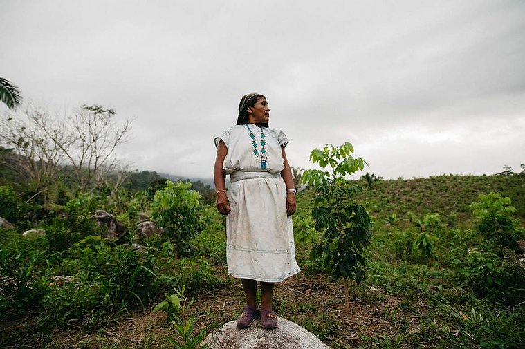 indian woman standing on a rock in a coffee field in the mountains