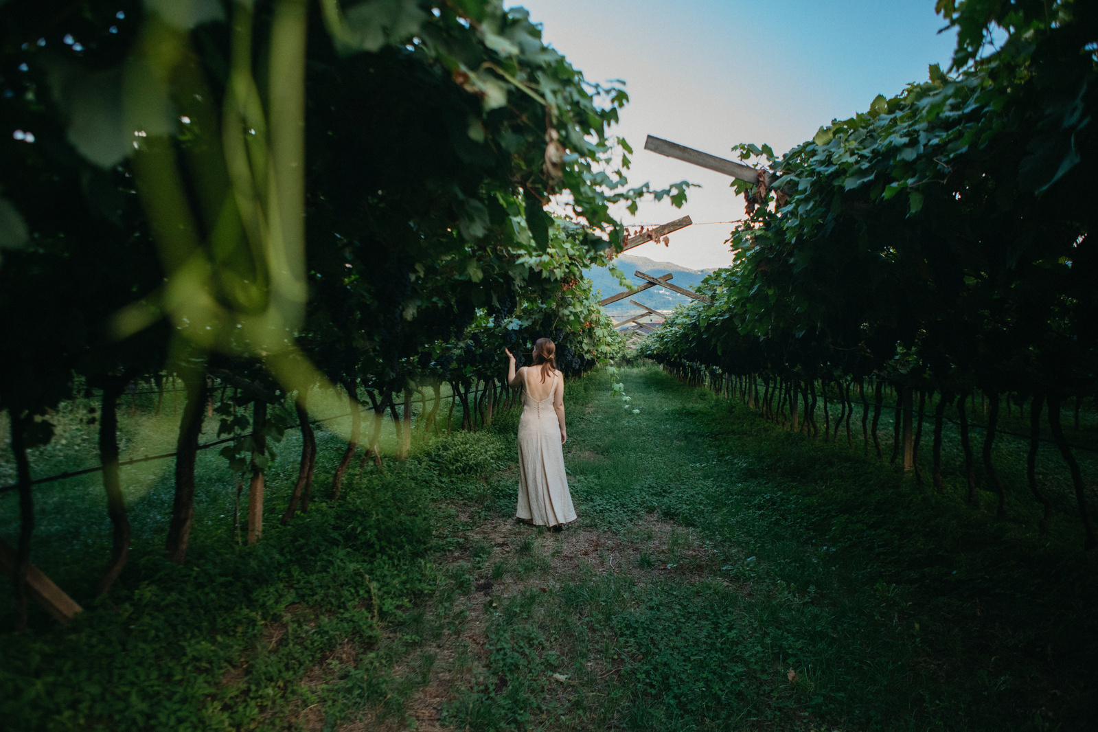 woman walking in a vineyard