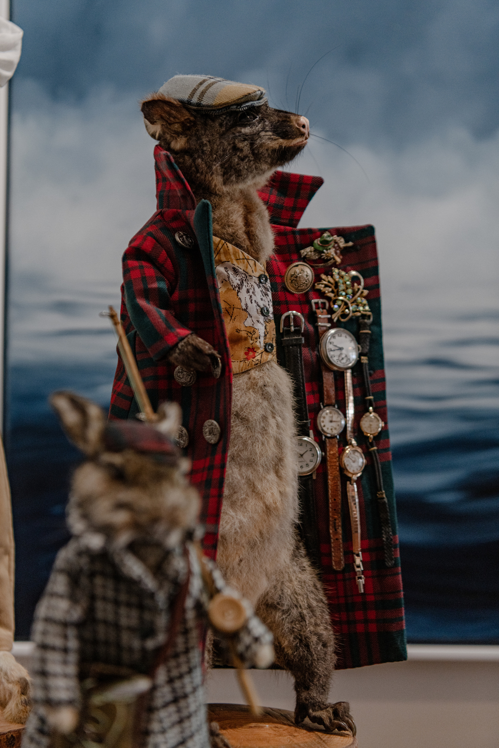 A taxidermy possum displayed as an art piece in Akaroa Art Gallery in Akaroa, New Zealand on May 9, 2024.