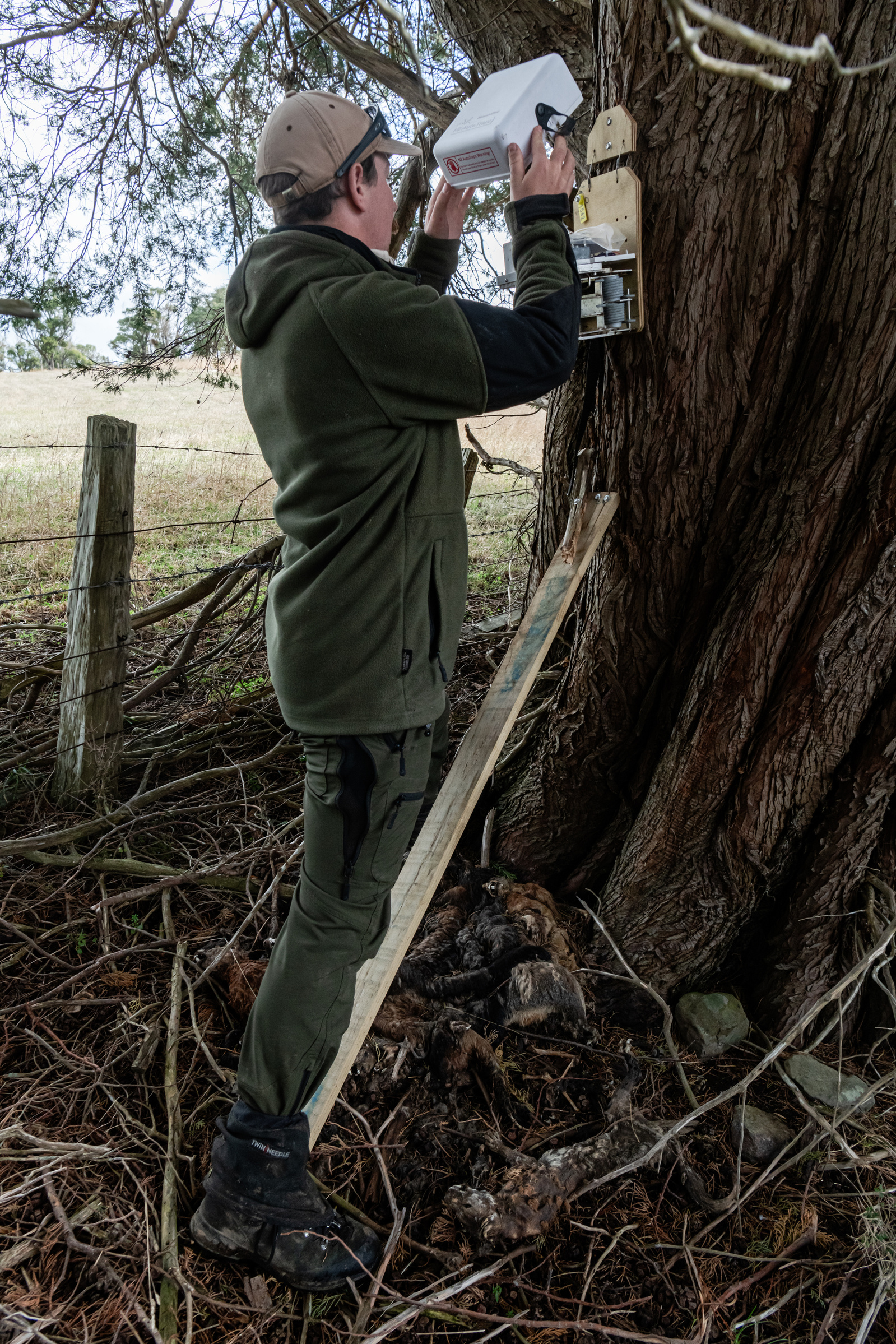 Pest Free Banks Peninsula team member Ollie Rutland-Sims services the possum autotrap near Akaroa, Banks Peninsula, New Zealand on May 9, 2024.