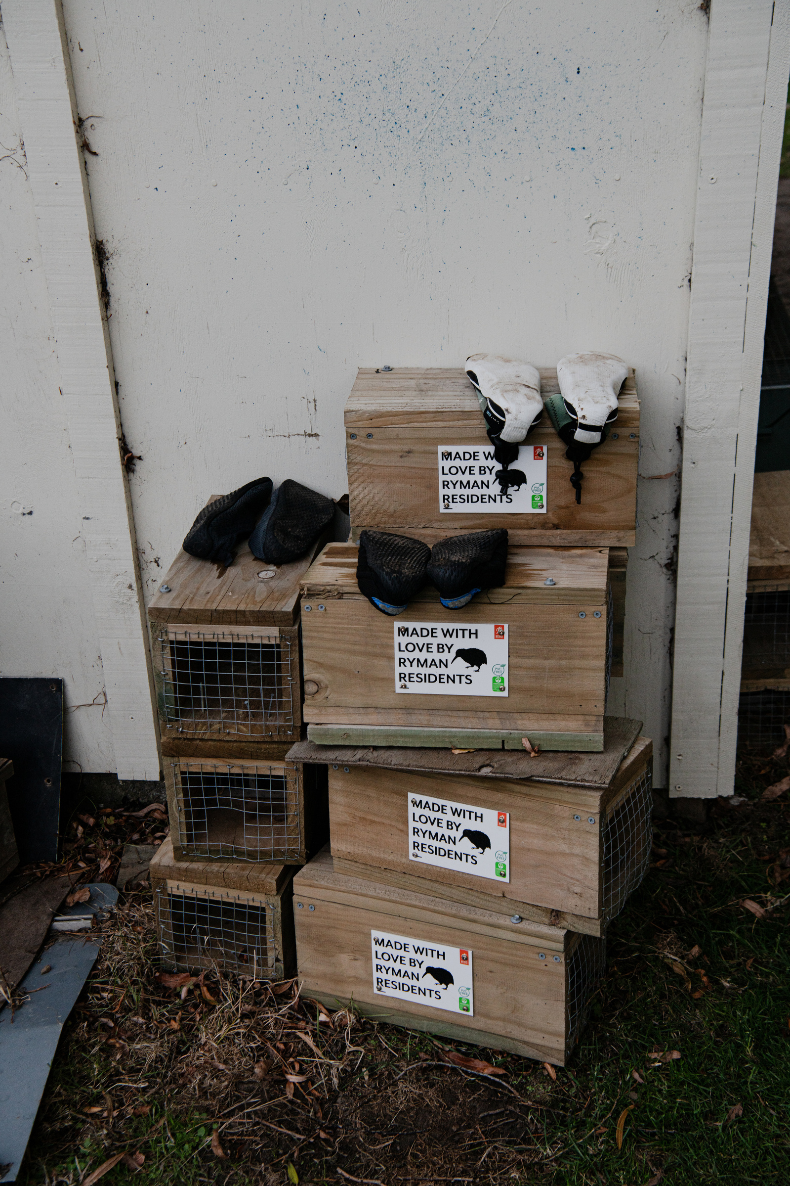 Pōhatu Conservation Trust's pest traps seen near the colony of little blue penguins on Banks Peninsula, New Zealand, on May 8, 2024