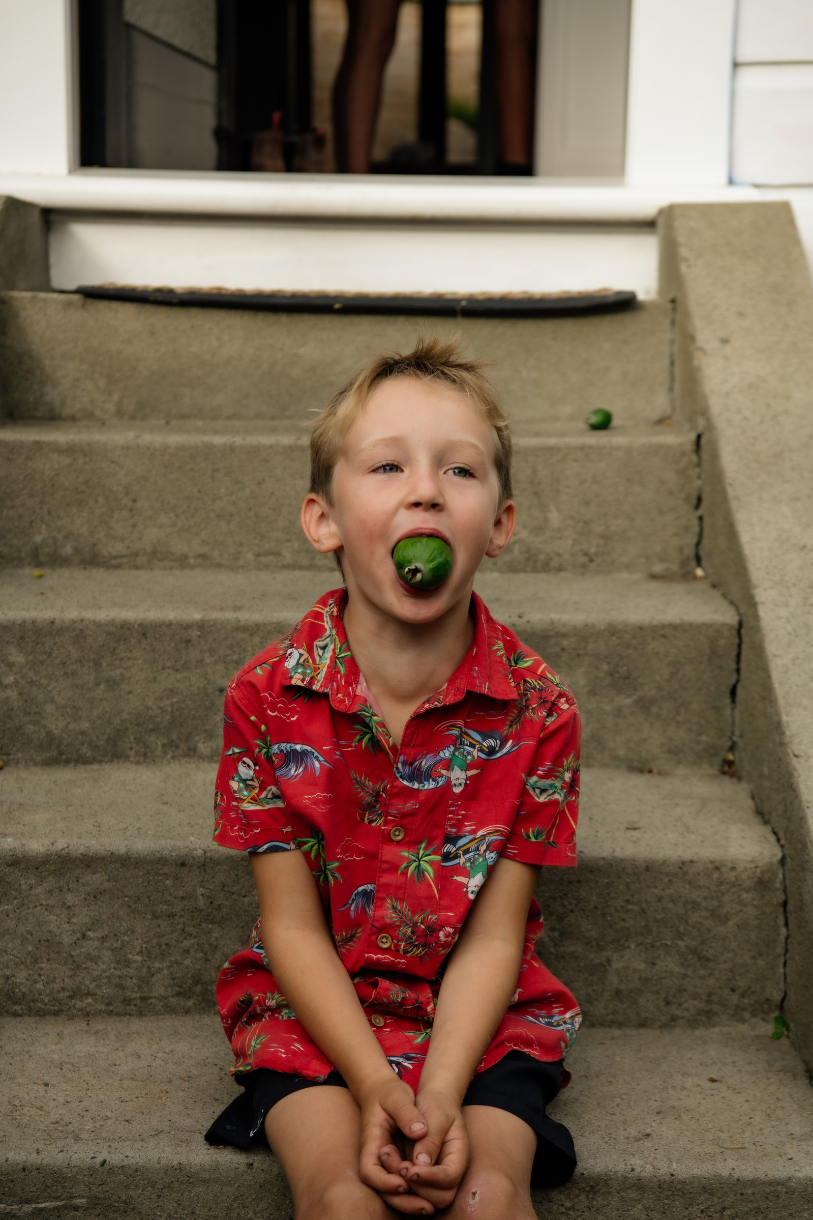 Tui Seton, 5, poses for a portrait with a feijoa at his home garden in Nelson New Zealand on Saturday, April 6, 2024. In New Zealand, the arrival of fall is marked by the distinctive flavor of feijoas, a beloved national fruit that fosters community and