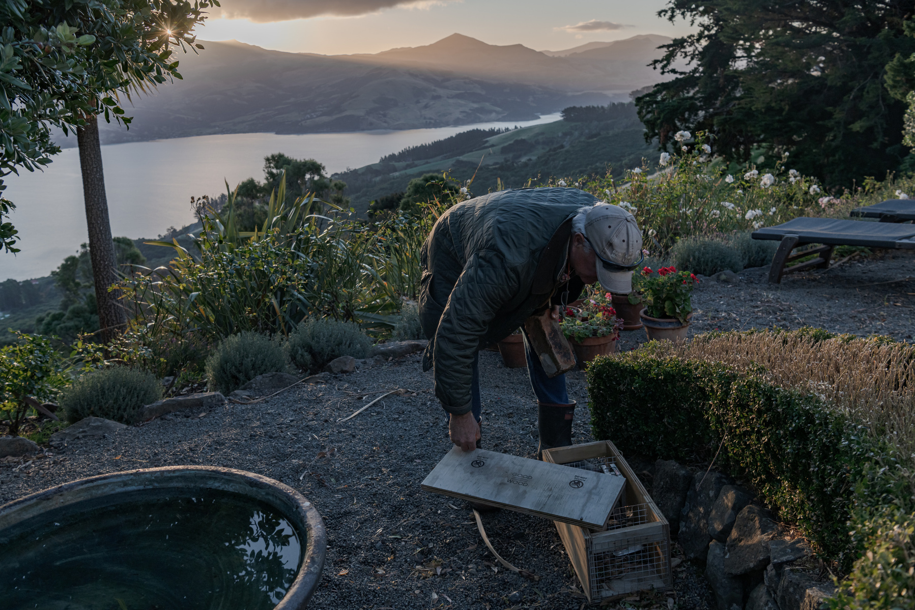 Jack Gibbs checks a pest trap near his home on Banks Peninsula, New Zealand on May 9, 2024