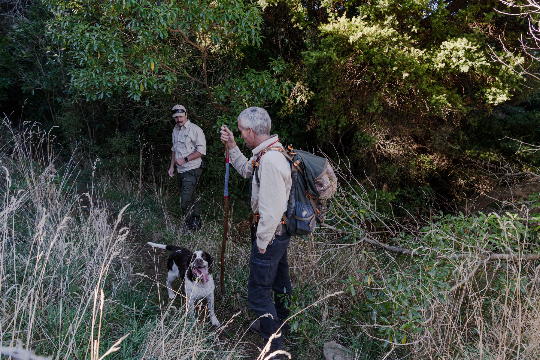 Pest Free Banks Peninsula team members Ollie Rutland-Sims, Jason Millichamp, and their possum dog, Schmack, inspect the farm for any remaining possums near Akaroa, Banks Peninsula, New Zealand on Thursday, May 8, 2024.