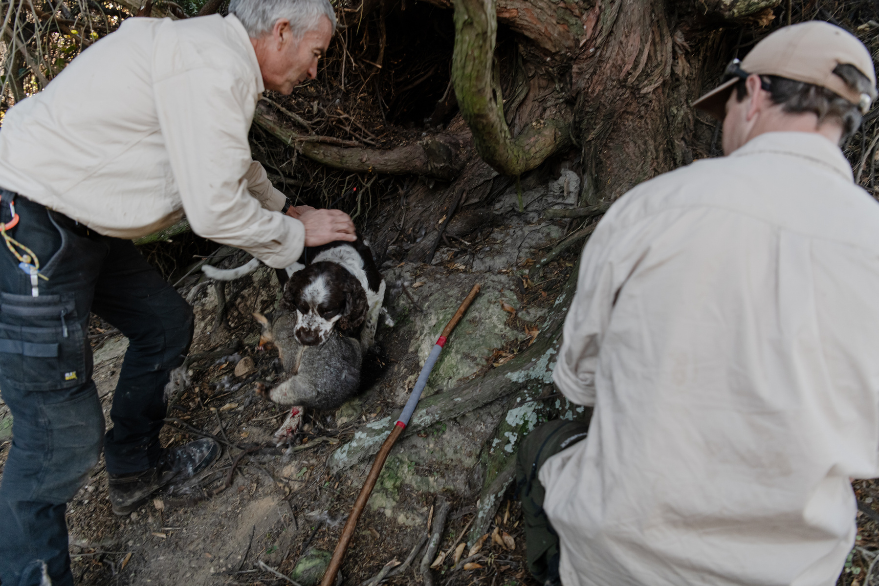 Pest Free Banks Peninsula team members Jason Millichamp, Ollie Rutland-Sims, and their possum dog, Schmack, inspect the farm for any remaining possums near Akaroa, Banks Peninsula, New Zealand on Thursday, May 8, 2024.