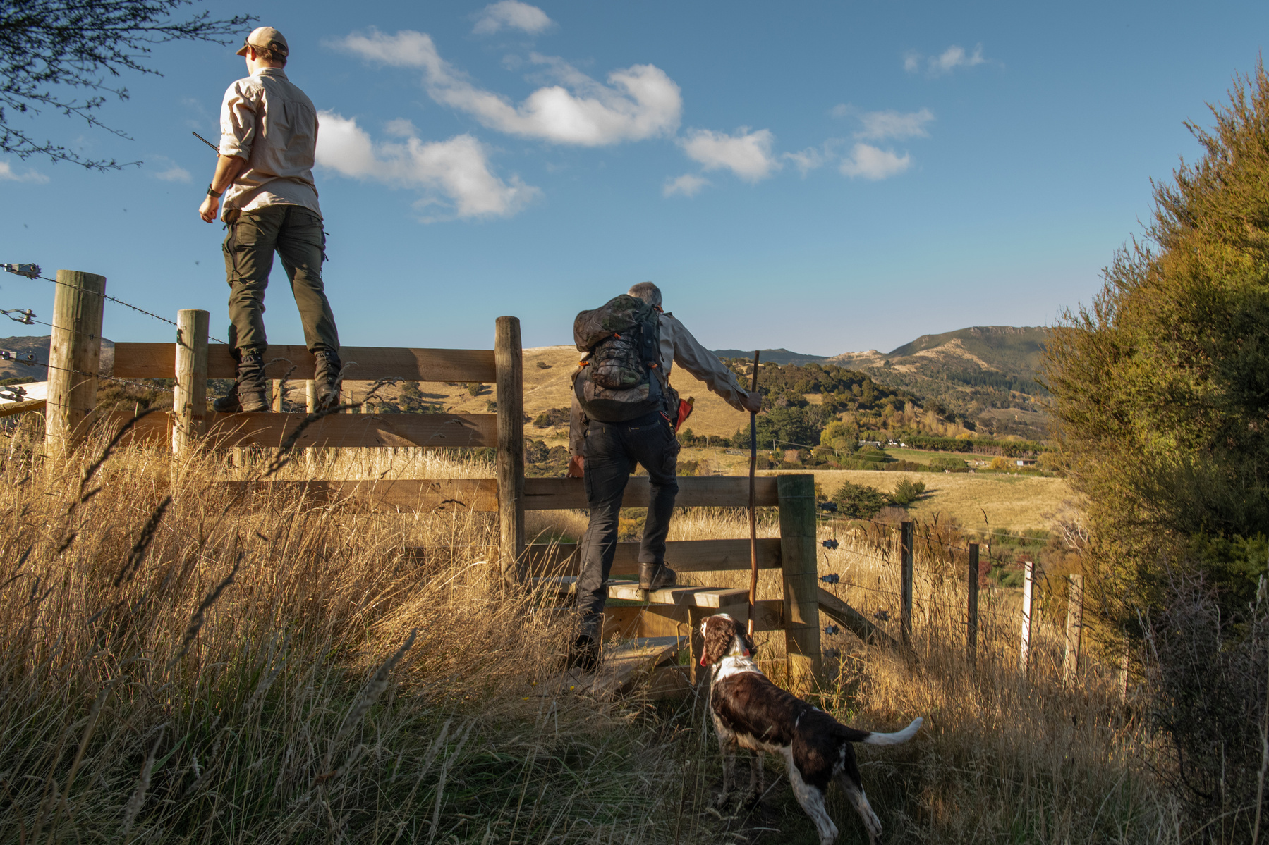 Pest Free Banks Peninsula team members Ollie Rutland-Sims, Jason Millichamp, and their possum dog, Schmack, inspect the farm for any remaining possums near Akaroa, Banks Peninsula, New Zealand on Thursday, May 8, 2024.