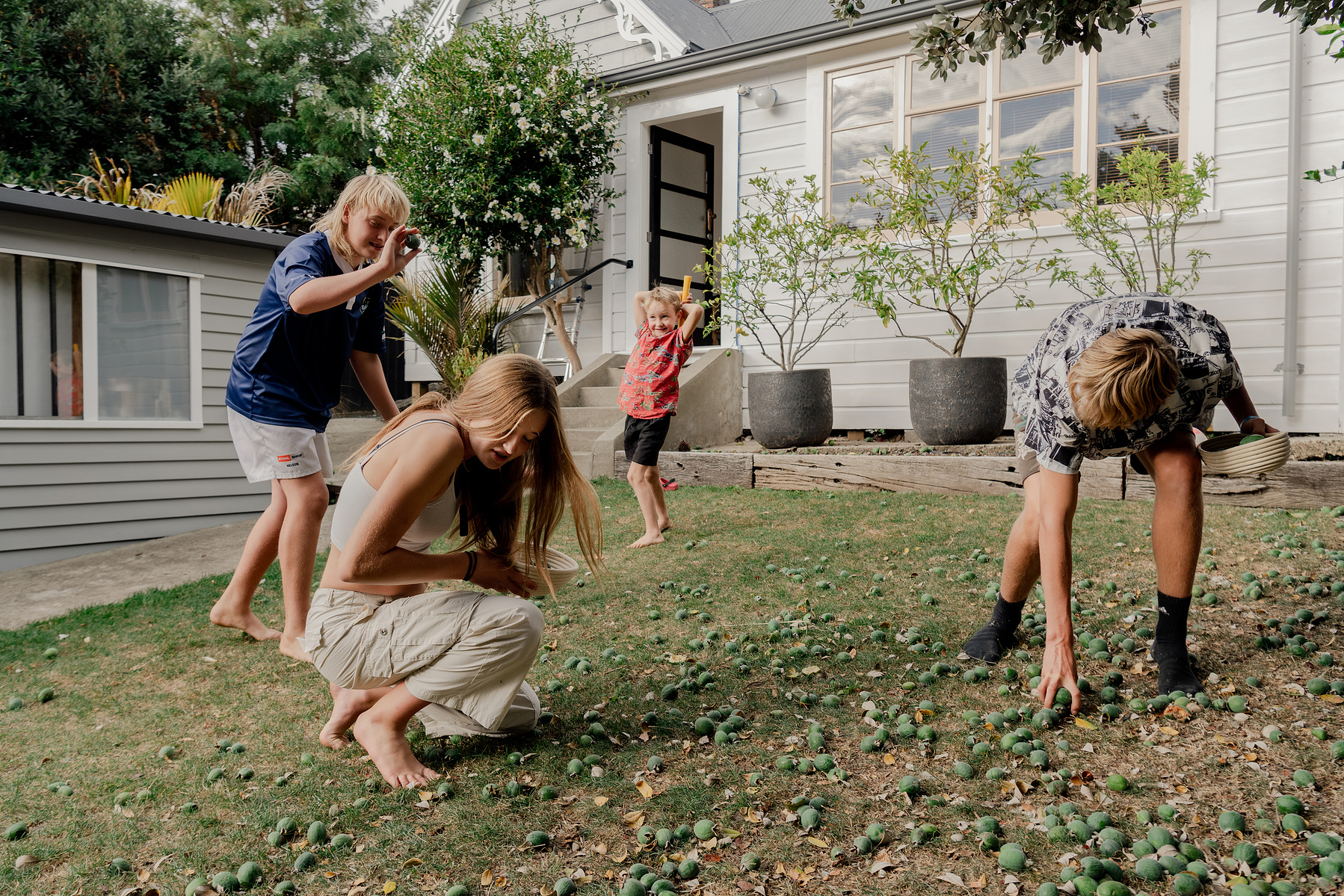 (Left to right) Xavier Dickson-Paterson,13, Lola-Rosa Seton, 12, Tui Seton,5 and Jesse Dickson_Paterson,15, collect feijoa and play in the Seton's garden, which is dotted with fallen feijoas and shadowed by a tall feijoa tree, in Nelson, New Zealand o