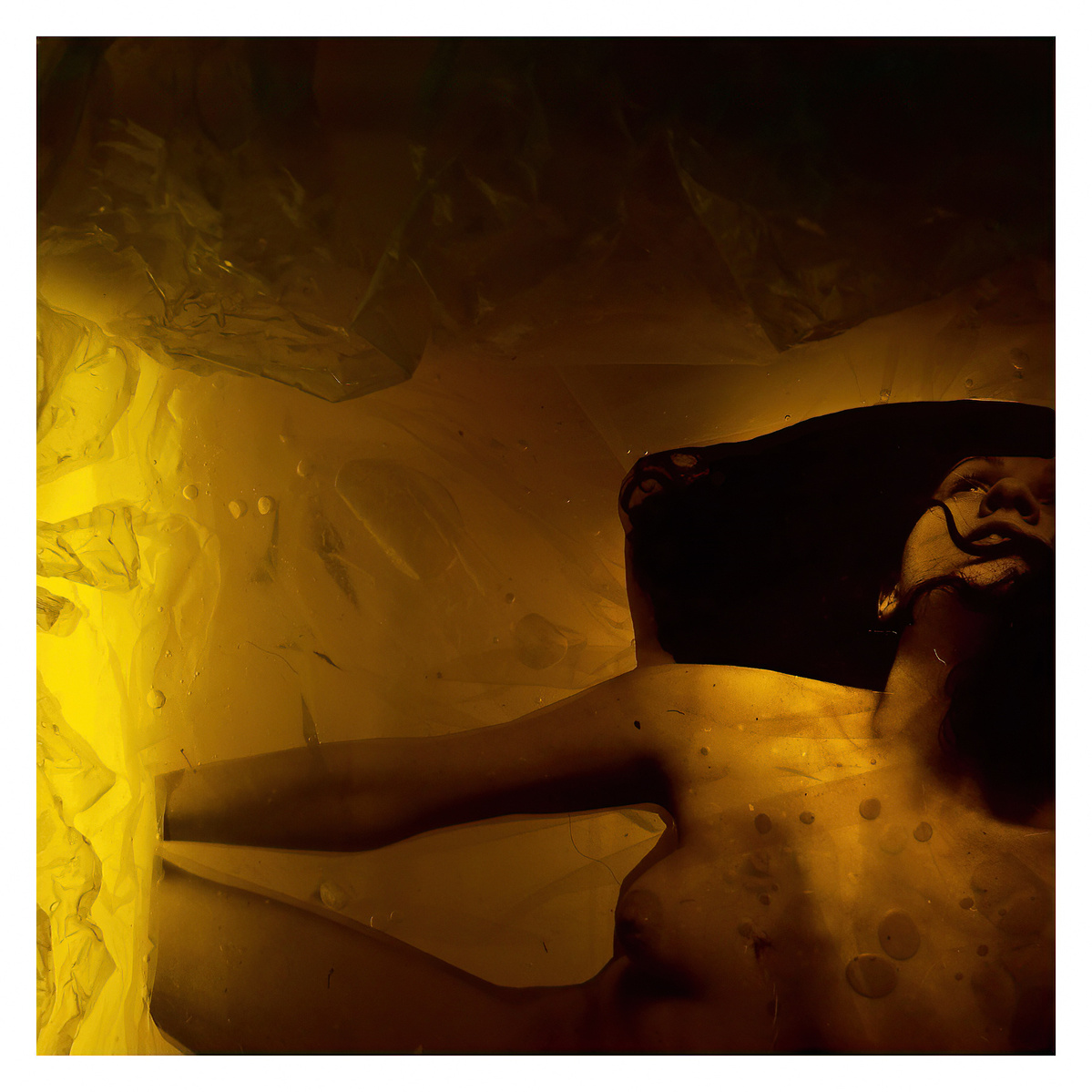 Maenad, 2012, photographic mixed media. 