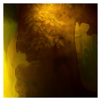 Tree, 2012, photographic mixed media. 