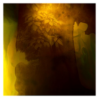 Tree, 2012, photographic mixed media. 
