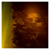 Green Man, 2012, photographic mixed media. 