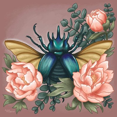 Illustration artwork of a beautiful shiny black and blue beetle with its wings extended nestled among pink peony flowers and eucalyptus leaves on a dusty rose coloured background.