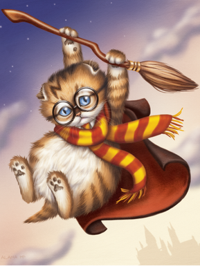 Hang in there little wizard kitten. You'll figure out how to use that broom soon enough.
