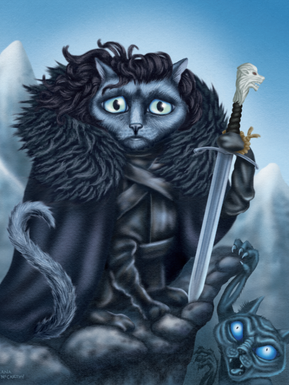 Jon cat brooding over the scary white kitty walkers.
