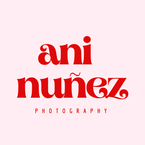 Ani Nuñez Copenhagen Wedding Photographer