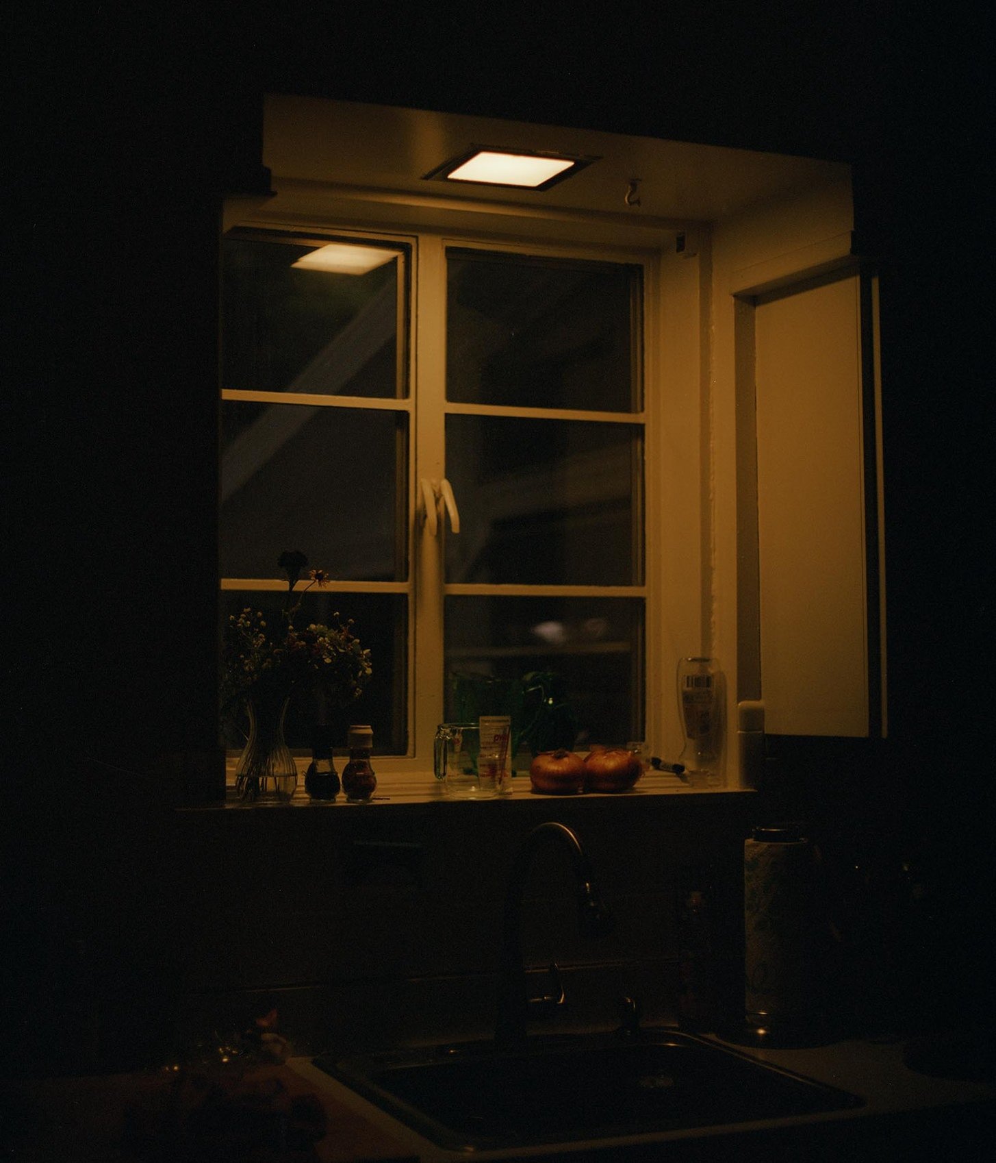 My kitchen sink, Silver Spring, MD, September 2019