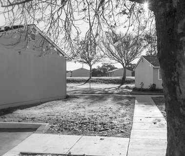 Buena Vista Migrant Camp, October 27th, 2017 Watsonville CA