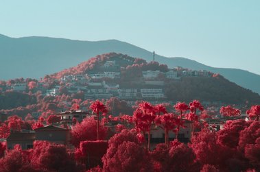 Trees and houses in the mountain range near Calpe, Spain