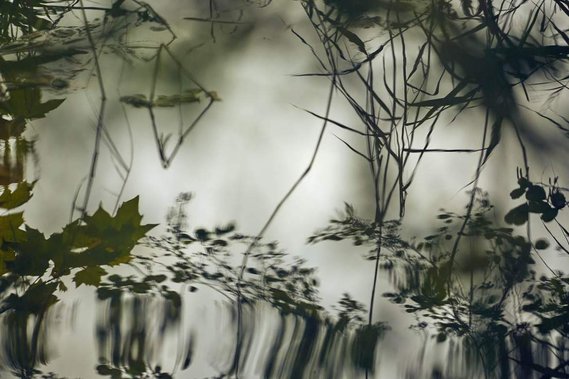 Reflections - Banyoles Lake - Fine art photography