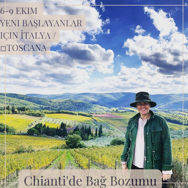 6/9 Ekim 
Chianti de bağ bozumu


